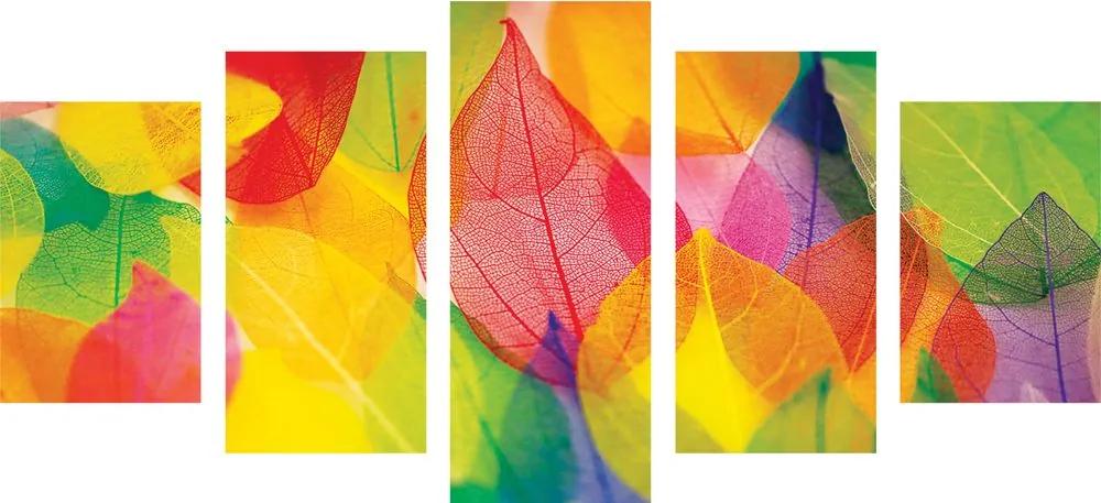 Φύλλα 5 μερών σε φθινοπωρινά χρώματα - 100x50