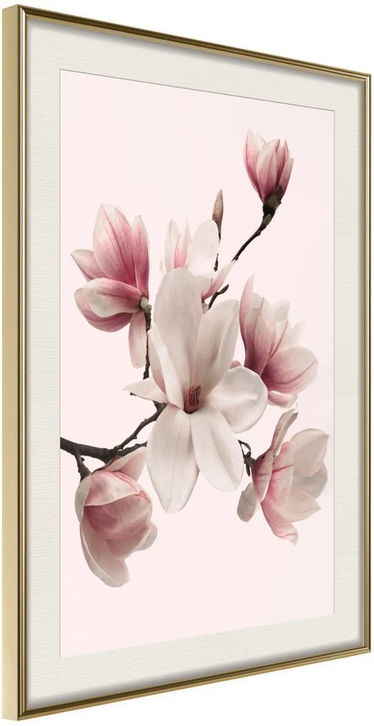 Αφίσα - Blooming Magnolias I - 20x30 - Χρυσό - Με πασπαρτού