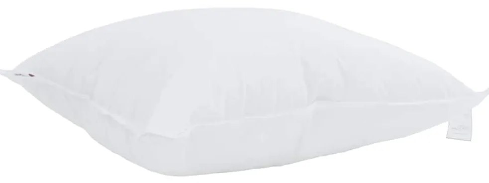 vidaXL Μαξιλάρι με μαξιλάρι 2 pcs Λευκό 80 x 80 cm Βαμβάκι