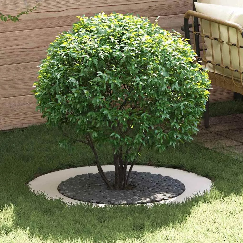 vidaXL Φλατ Δαχτυλίδια Δέντρων 5 pcs Λευκό Ø60 / 90 εκ. Ατσάλι