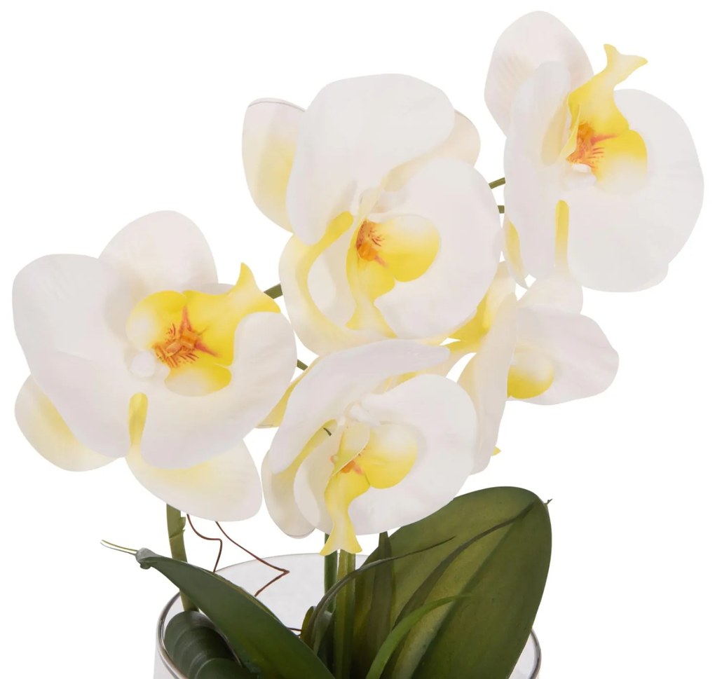 Διακοσμητικό Συνθετικό Φυτό Λουλούδι PHALAENOPSIS C4738 σε Γυάλινο Βάζο 12x24x30Υεκ 12x24x30 εκ.