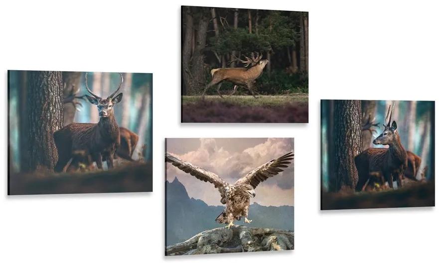 Σετ εικόνων ομορφιά των ζώων του δάσους - 4x 60x60