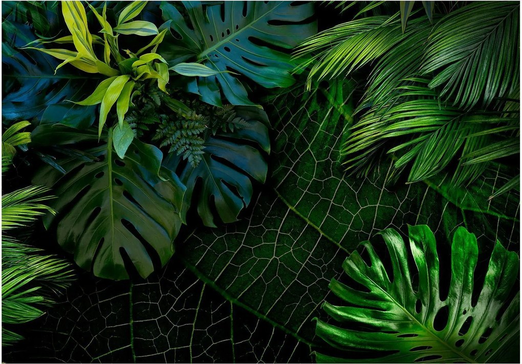 Αυτοκόλλητη φωτοταπετσαρία - Dark Jungle - 245x175