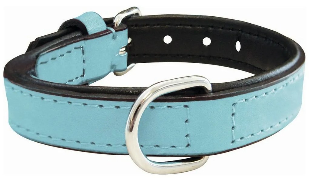 Κολλάρο Σκύλου Gloria Γεμισμένο Μπλε (50 x 2,5 cm)