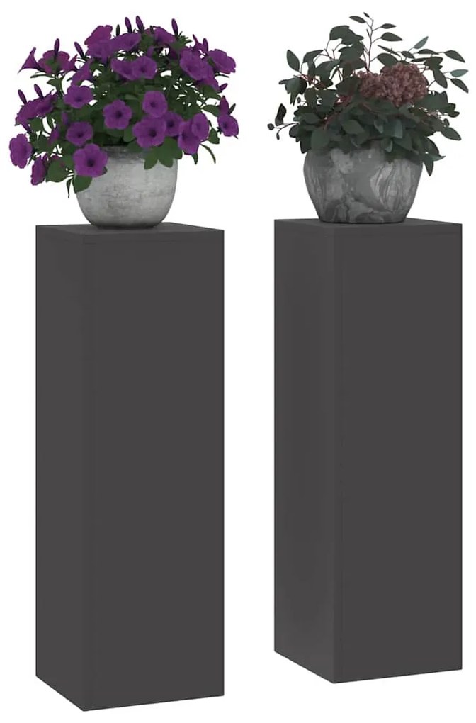 vidaXL Στήριξη φυτών 2 pcs Μαύρο 24 x 24 x 75 εκ. Ατσάλι