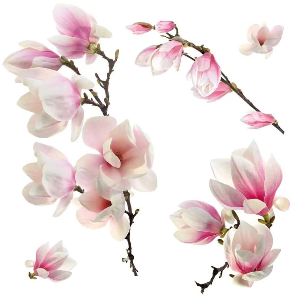 Magnolia αυτοκόλλητα βινυλίου για τζάμι - 64006