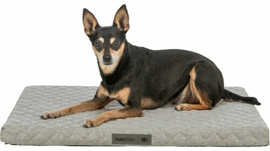 Στρώμα Trixie Vital Noah Ανοιχτό Γκρι 60 × 45 cm