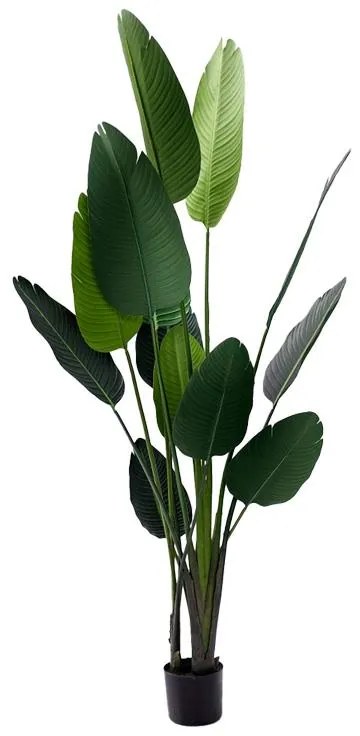 Διακοσμητικό φυτό Palm tree σε γλάστρα Inart πράσινο pp Υ180εκ