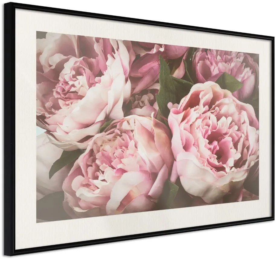 Αφίσα - Pastel Peonies - 45x30 - Μαύρο - Με πασπαρτού