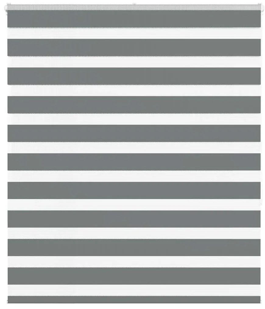 Ζέβρα τυφλή Σκούρο Γκρι Πλάτος υφάσματος 120,9 εκ. Πολυεστέρας