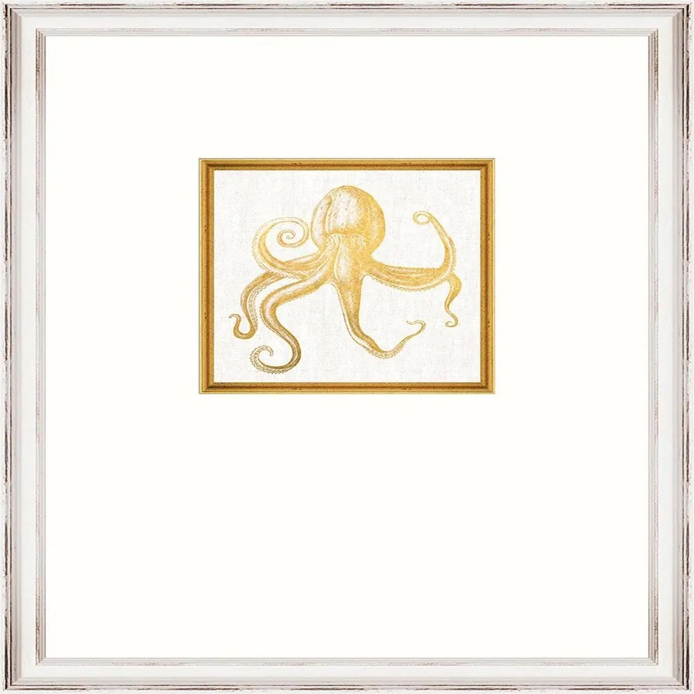 Κάδρο Octopus Fa13364 35X45Cm White-Gold Mindthegap Κάθετοι Wood