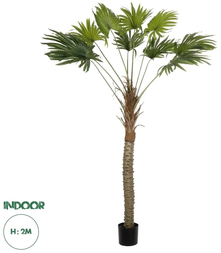 21107 GloboStar® Artificial Garden WASHINGTONIA FILIFERA TREE 21107 Τεχνητό Διακοσμητικό Φοινικόδεντρου Υ200cm