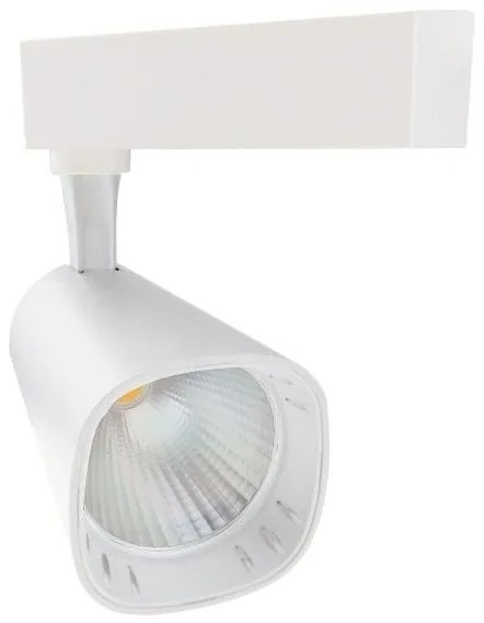 Σποτ Ράγας LED COB 30W 3000K Μονοφασικό Φ8 Epistar Spotlight 6454 Λευκό