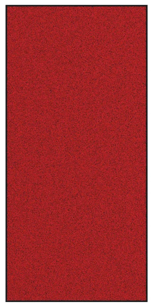 vidaXL Χαλάκι Εξώπορτας Κόκκινο και Μαύρο 120 x 250 cm
