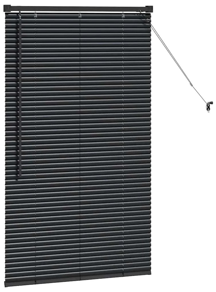 vidaXL Ρολό Παραθύρου με κουρτίνες Μαύρο Αλουμίνιο