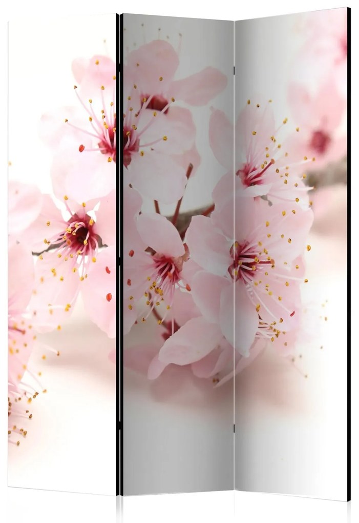 Διαχωριστικό με 3 τμήματα - Cherry Blossom [Room Dividers] 135x172