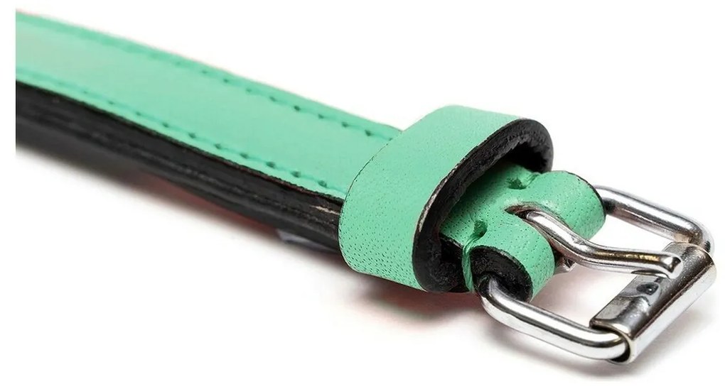 Κολλάρο Σκύλου Gloria Γεμισμένο Πράσινο (30 x 1,5 cm)