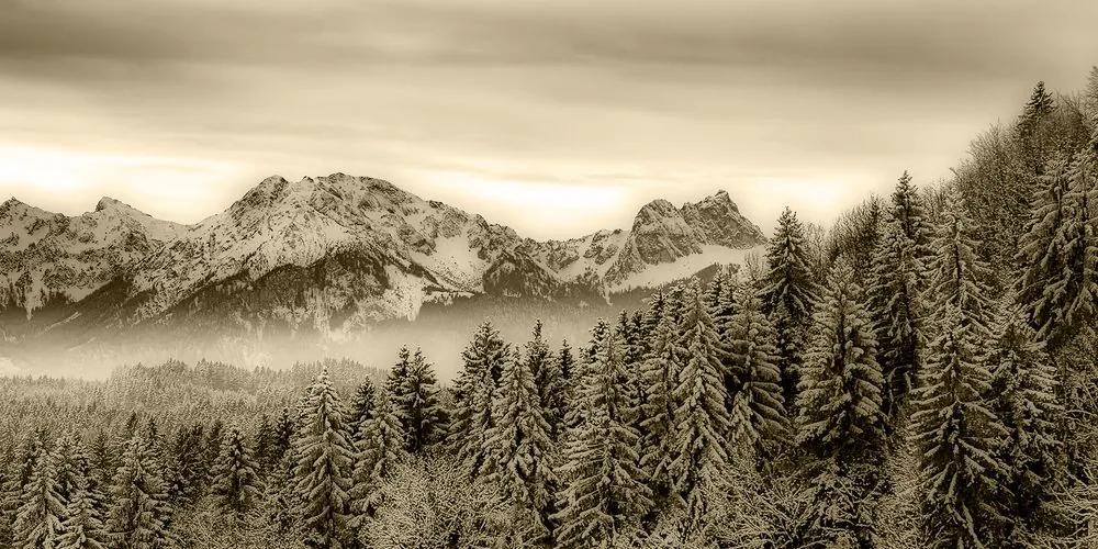 Εικόνα παγωμένων βουνών σε σχέδιο σέπια - 120x60