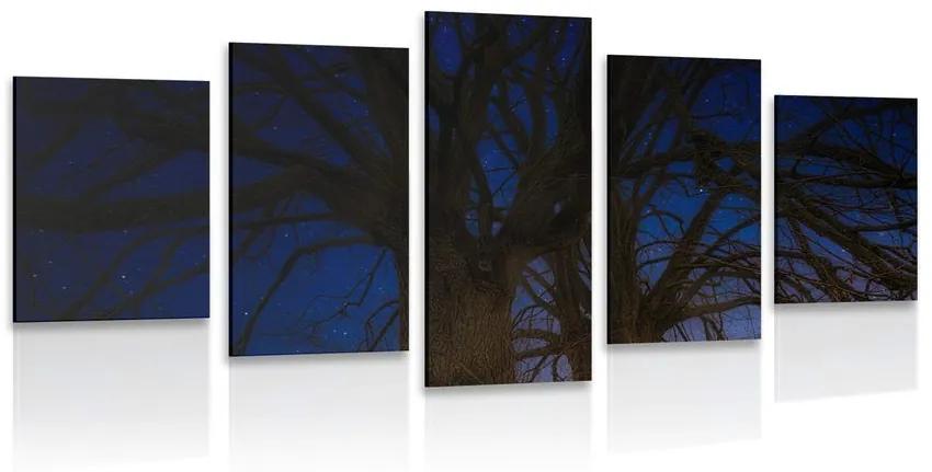 5 μέρη εικόνα δέντρα στο νυχτερινό τοπίο - 100x50