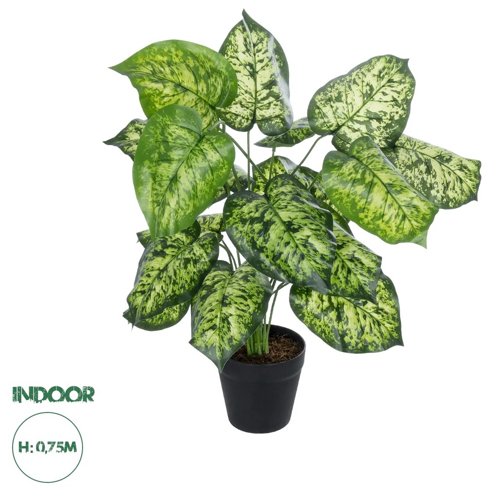 GloboStar® Artificial Garden DIEFFENBACHIA 20914 Διακοσμητικό Φυτό Υ75cm