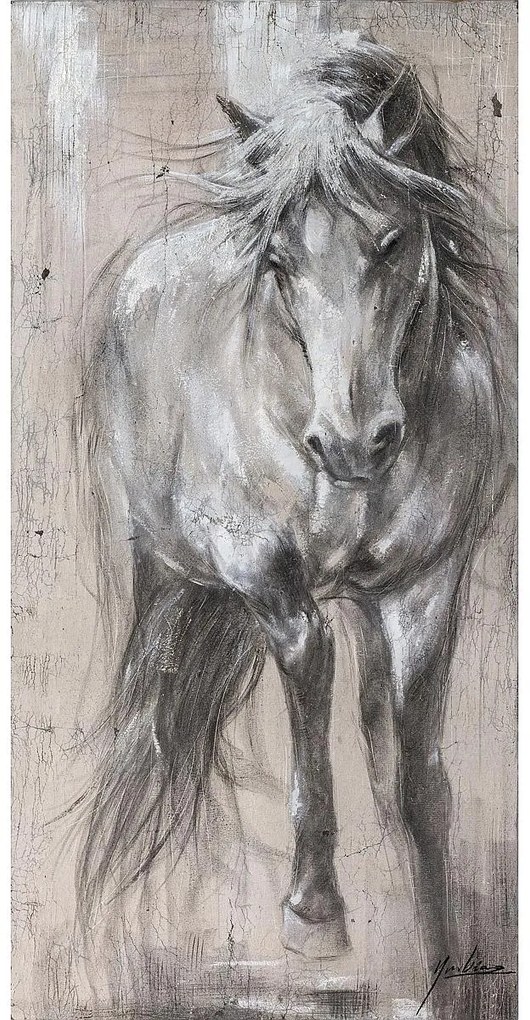 Πίνακας ArteLibre "Ζωϊκό Βασίλειο" Καμβάς 60x120cm-14670091