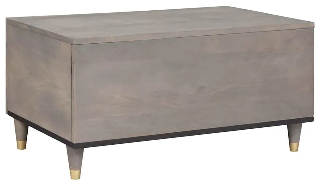 vidaXL Τραπεζάκι σαλονιού Γκρι 80 x 50 x 40 cm Μασίφ ξύλο μάνγκο