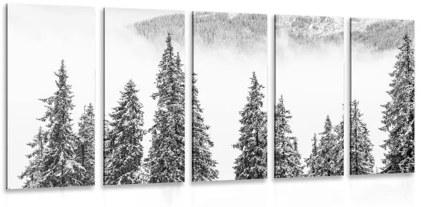 Εικόνα 5 τμημάτων χιονισμένα πεύκα σε μαύρο & άσπρο