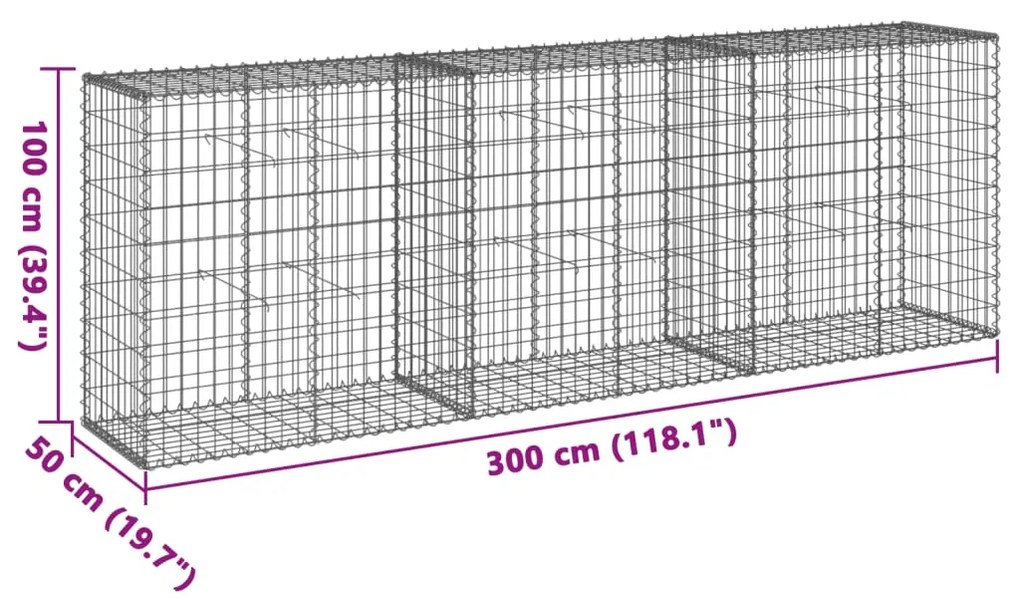 Συρματοκιβώτιο με Κάλυμμα 300x50x100εκ. από Γαλβανισμένο Χάλυβα - Ασήμι