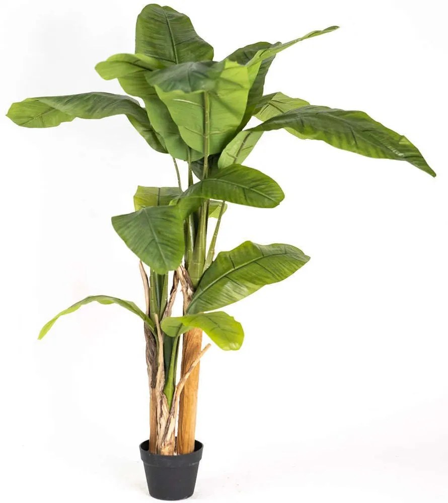 Τεχνητό Δέντρο Μπανανιά 2980-6 100x160cm Green Supergreens Polyethylene