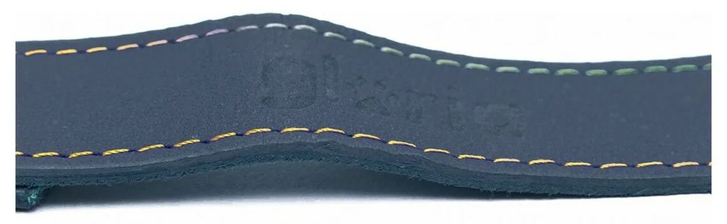 Λουρί Σκύλου Gloria Oasis 2.1 x 100 cm Μπλε