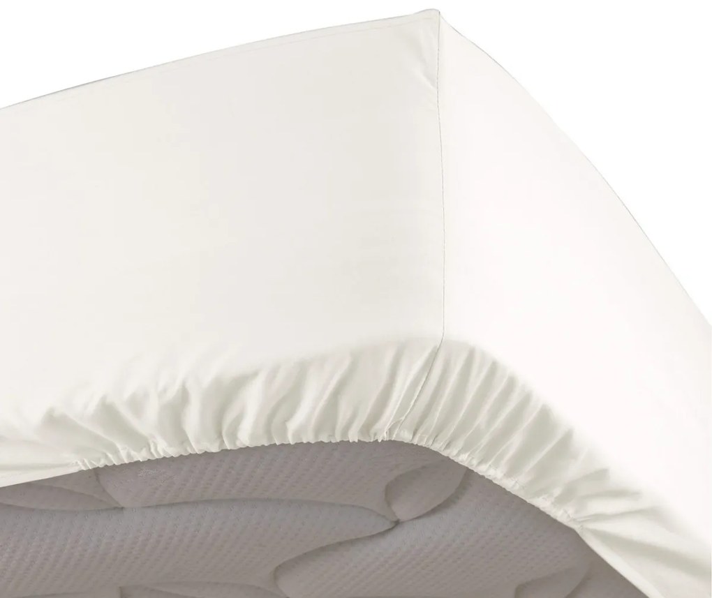 Σεντόνια με λάστιχο Douceur d intérieur  PERCALINE