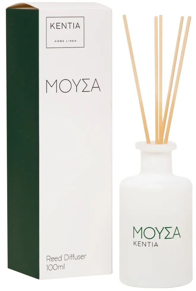 MOOD 25 ΜΟΥΣΑ DIFFUSER SECRET WOOD - KENTIA