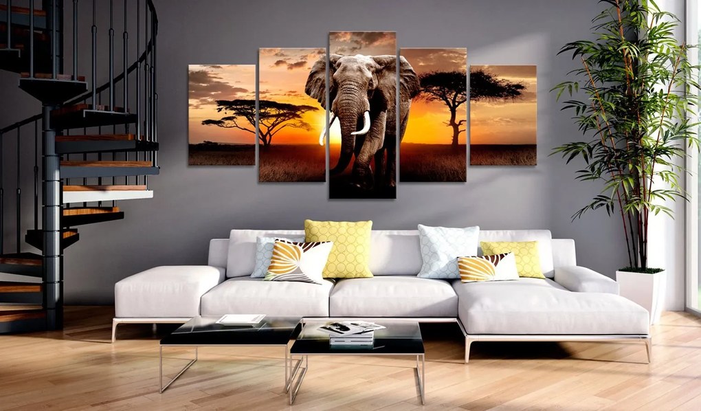 Πίνακας - Wandering Elephant (5 Parts) Wide 225x100