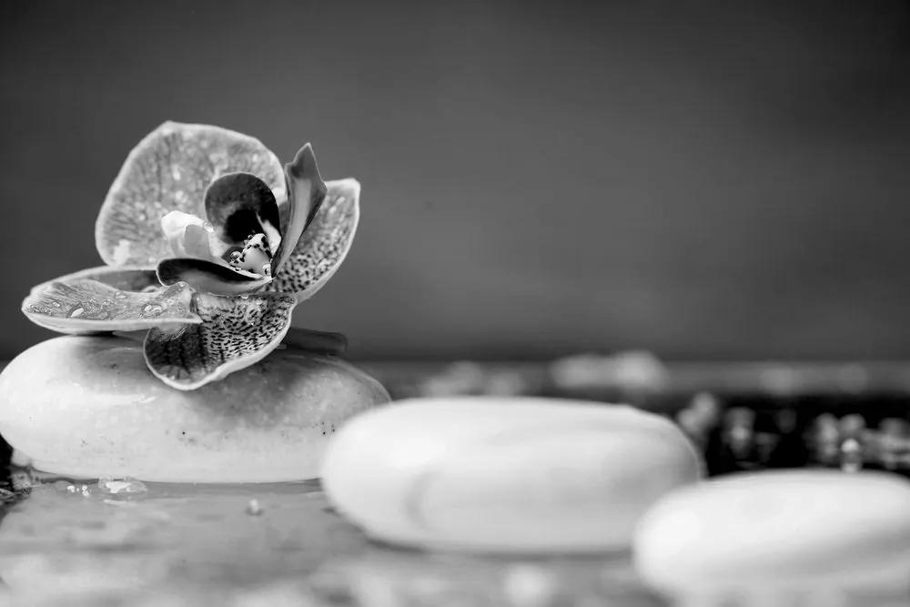 Εικόνα ορχιδέας και πέτρες Ζεν σε ασπρόμαυρο - 120x80