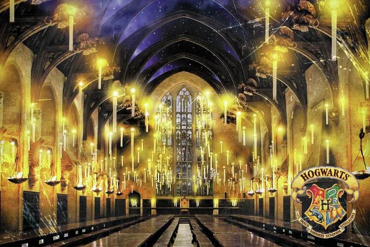 Εκτύπωση τέχνης Harry Potter - Great Hall, (40 x 26.7 cm)