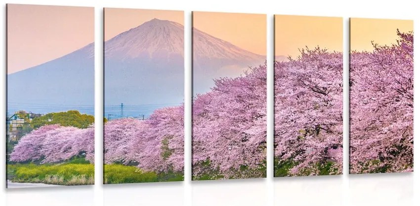 Εικόνα 5 μερών υπέροχη Ιαπωνία