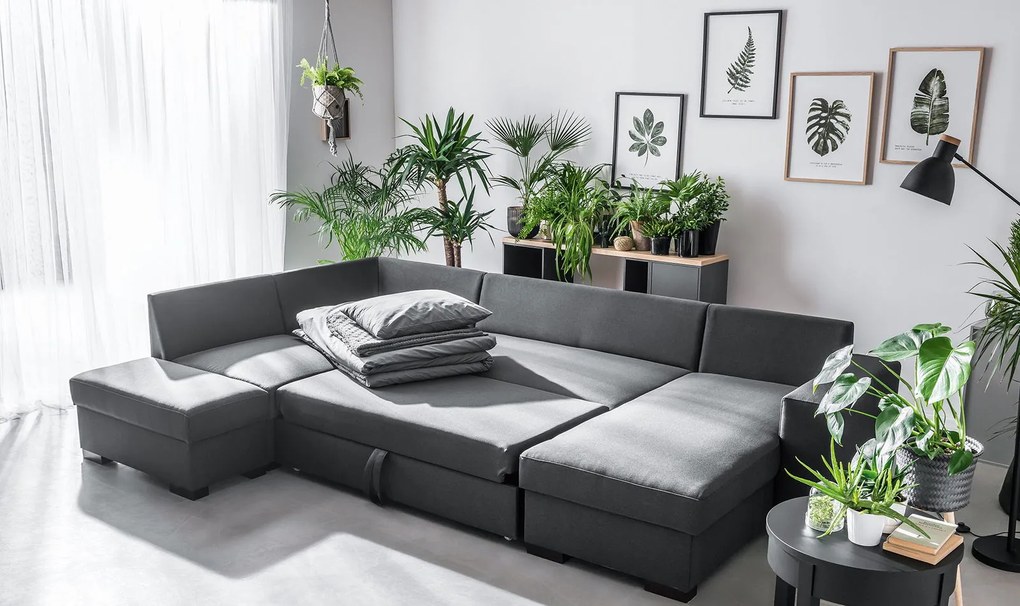 Πίνακας Botaniq II