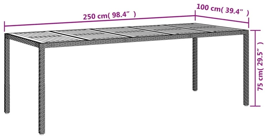 vidaXL Τραπέζι Κήπου Μαύρο 250 x 100 x 75 εκ. από Συνθετικό Ρατάν