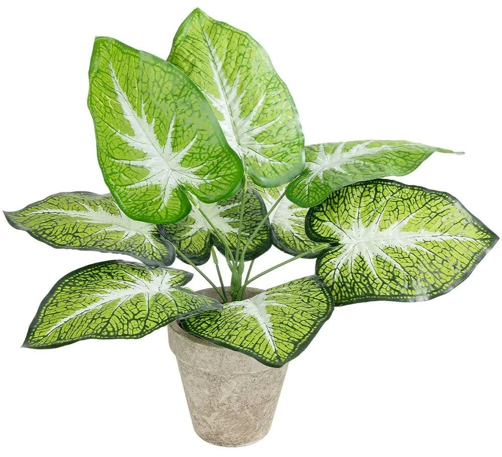 Τεχνητό Φυτό Σε Κασπώ Caladium 20894 Φ40x33cm Multi GloboStar Πηλός,Πολυαιθυλένιο