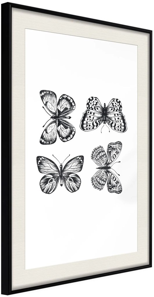 Αφίσα - Butterfly Collection III B - 20x30 - Μαύρο - Με πασπαρτού