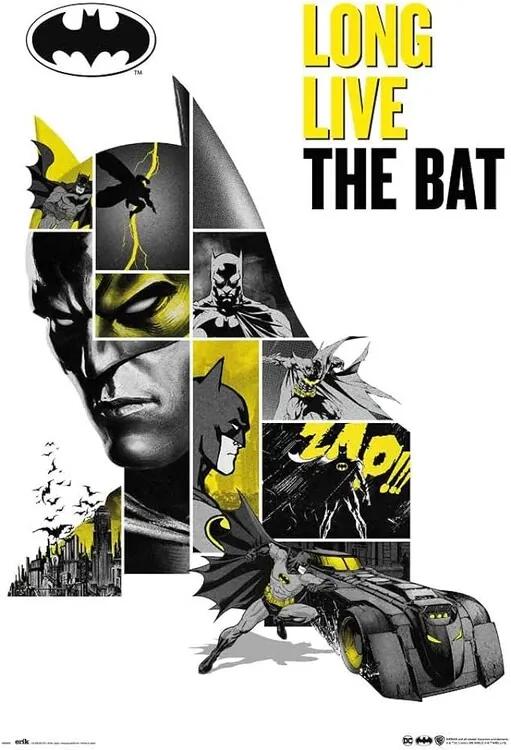 Αφίσα Batman - 80th Anniversary, (61 x 91.5 cm)