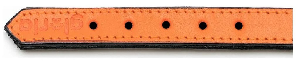 Κολλάρο Σκύλου Gloria Γεμισμένο Πορτοκαλί (55 x 2,5 cm)