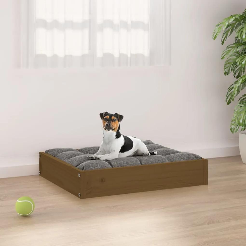 Κρεβάτι Σκύλου Μελί 51,5 x 44 x 9 εκ. από Μασίφ Ξύλο Πεύκου