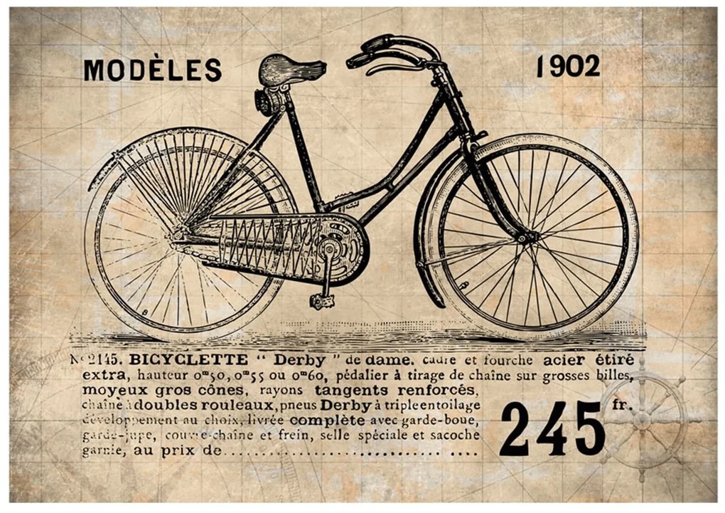 Φωτοταπετσαρία - Old School Bicycle 250x175