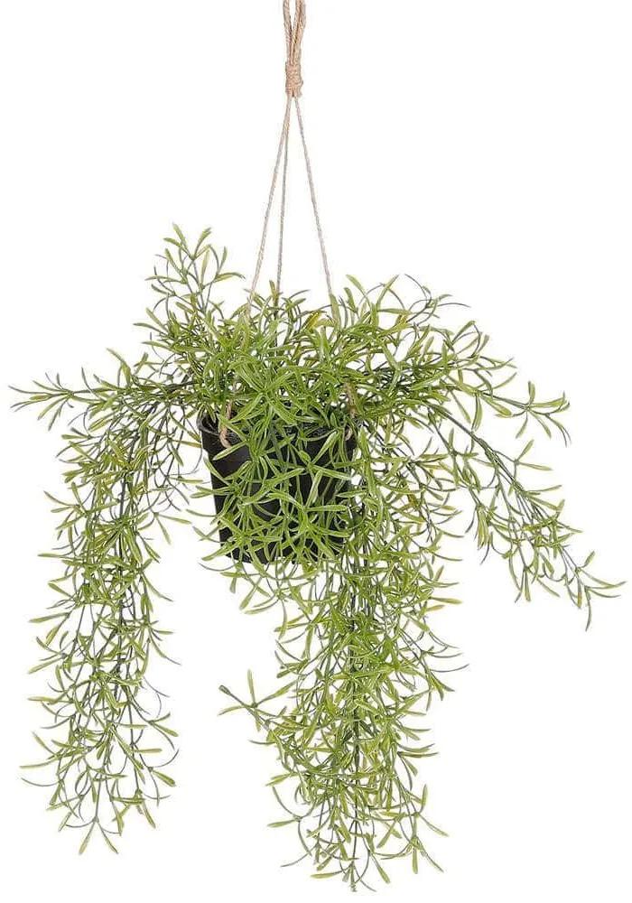 Τεχνητό Κρεμαστό Φυτό Σπαράγγι 5151-7 9x9x40cm Green Supergreens Πολυαιθυλένιο