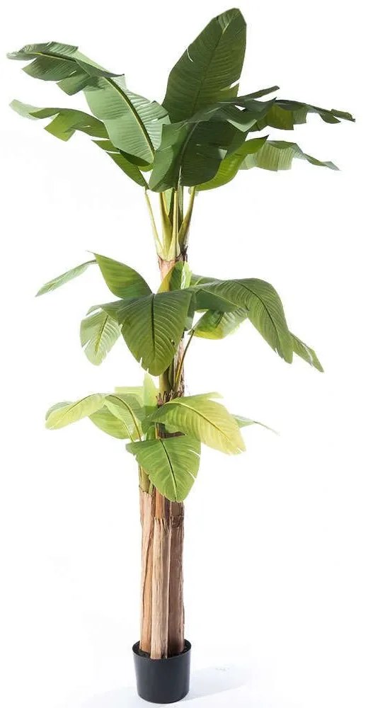 Τεχνητό Δέντρο Μπανανιά Musa 7901-6 170x160x280cm Green Supergreens Polyester,Wood