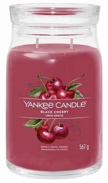 Αρωματικό Κερί Signature Black Cherry Large 1701380E 9,3x15,7cm Fuchsia Yankee Candle