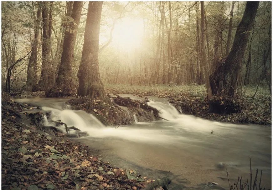 Αυτοκόλλητη φωτοταπετσαρία - Forest Cascade - 147x105