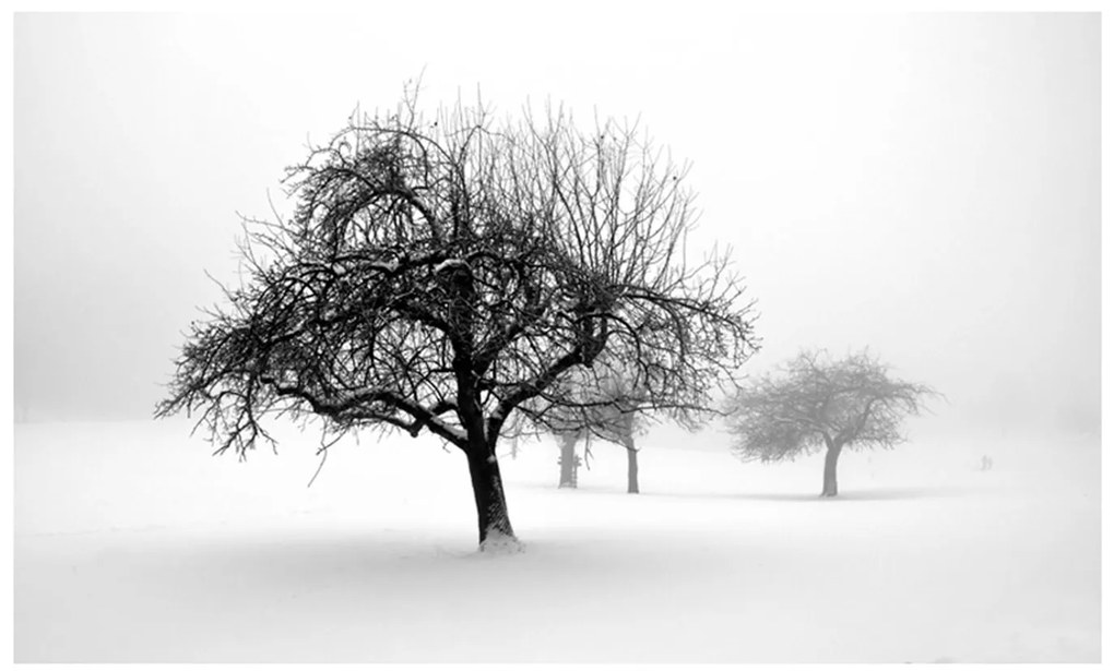 Φωτοταπετσαρία - winter - trees 450x270