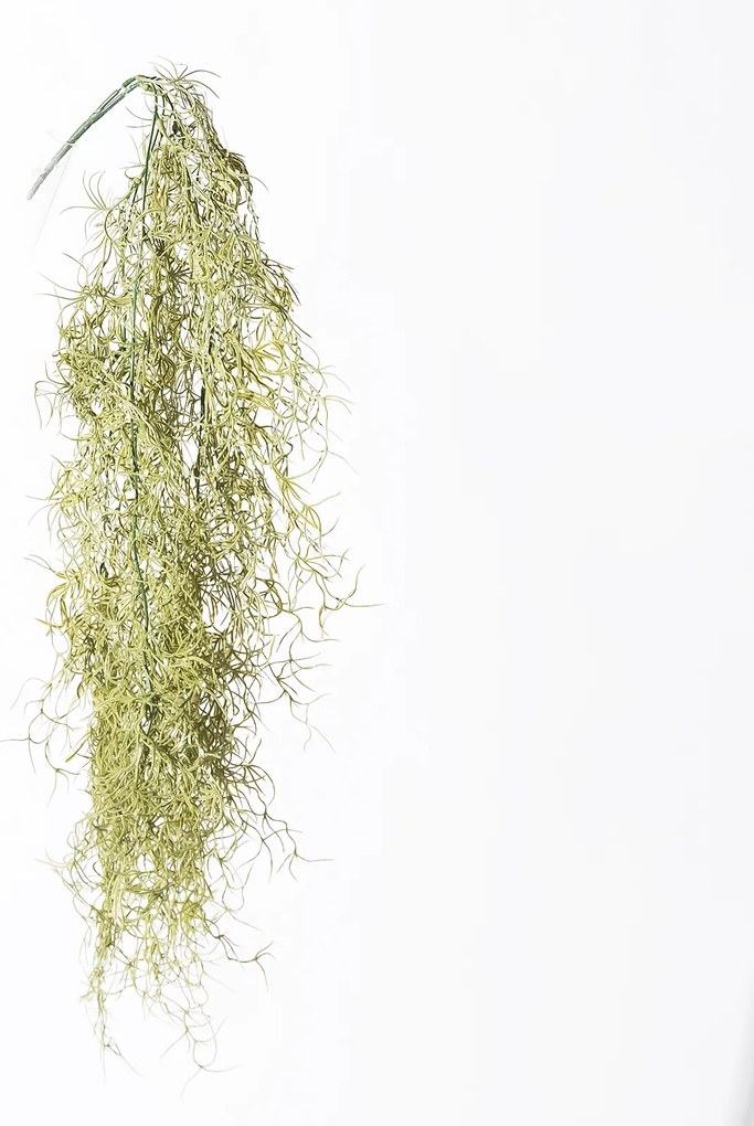 Supergreens Τεχνητή Κρεμαστή Φτέρη Bracken Πράσινη Ανοιχτή 90 εκ. - 8461-7 - 8461-7